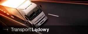 (Institute Cargo Clauses), powszechnie stosowane zarówno