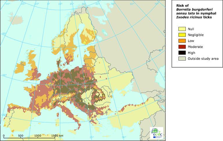 Borelioza - epidemiologia Europa - brak jednoznacznych danych szacunkowo 75 000 /rok.