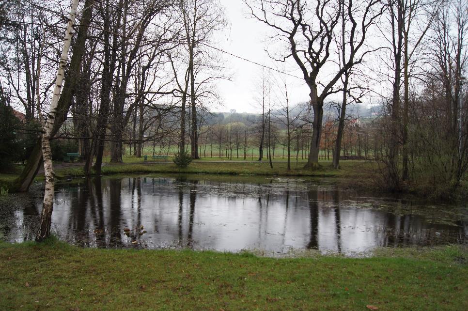 Fotografia 1 Zabytkowy park dworski w Łukowicy z przełomu XVIII/XIX w.