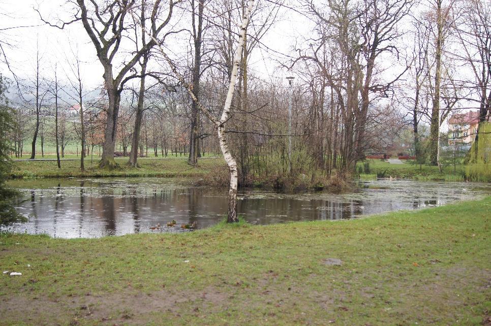 2 Źródło: Urząd Gminy Łukowica Na terenie II podobszaru rewitalizacji występuje znacznie mniej terenów zieleni urządzonej z