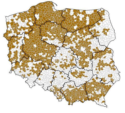 przedprodukcyjnym, niż