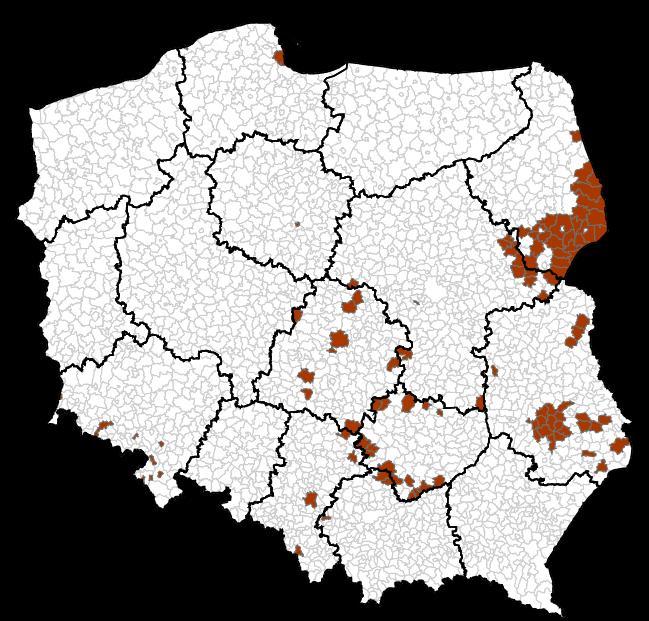 lat i więcej