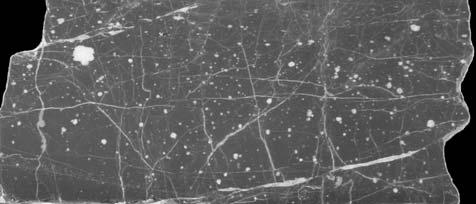 Pseudomorfozy wype³nione s¹ przez kryszta³y dolomitowe o pokroju od sub- do anhedralnego wielkoœci do,5 mm, mikryt i/lub osady rezydualne po rozpuszczeniu wêglanów.