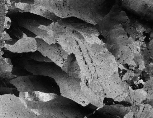 Ryc. 6. Cementy dolomitowe brekcji rozpuszczeniowo-kolapsyjnych (p³ytki cienkie): cementy drobnokrystaliczne (najstarsze odnotowane cementy, zwi¹zane z wczesnym etapem pogrzebania?