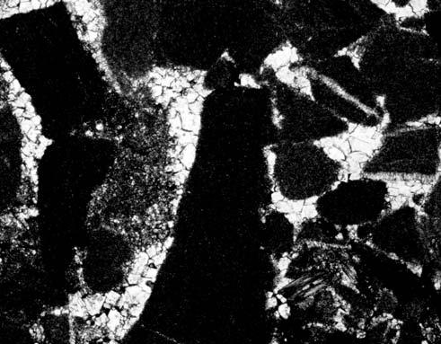 Profil Giewontu, dolny trias; C dolomitowe cementy siod³owe (skrzy owane nikole). Profil Giewontu, œrodkowy trias Fig. 6.