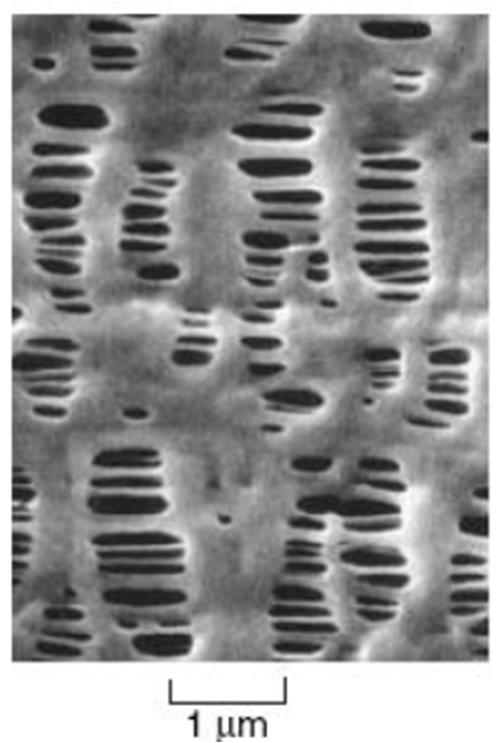 Typy membran membrany organiczne - Wytwarzanie membrany symetryczne porowate Rozciąganie filmu -membrany powstają z półkrystalicznych polimerów Utworzenie filmu polimerowego poprzez wytłaczanie w