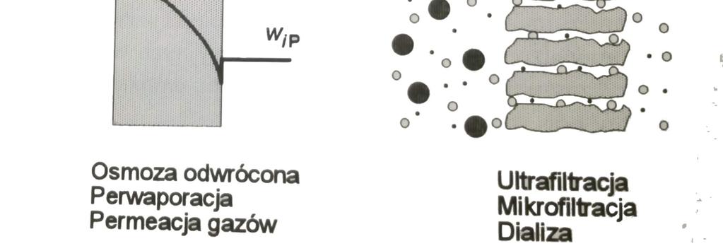 konwekcyjny przez pory Seminarium z podstaw