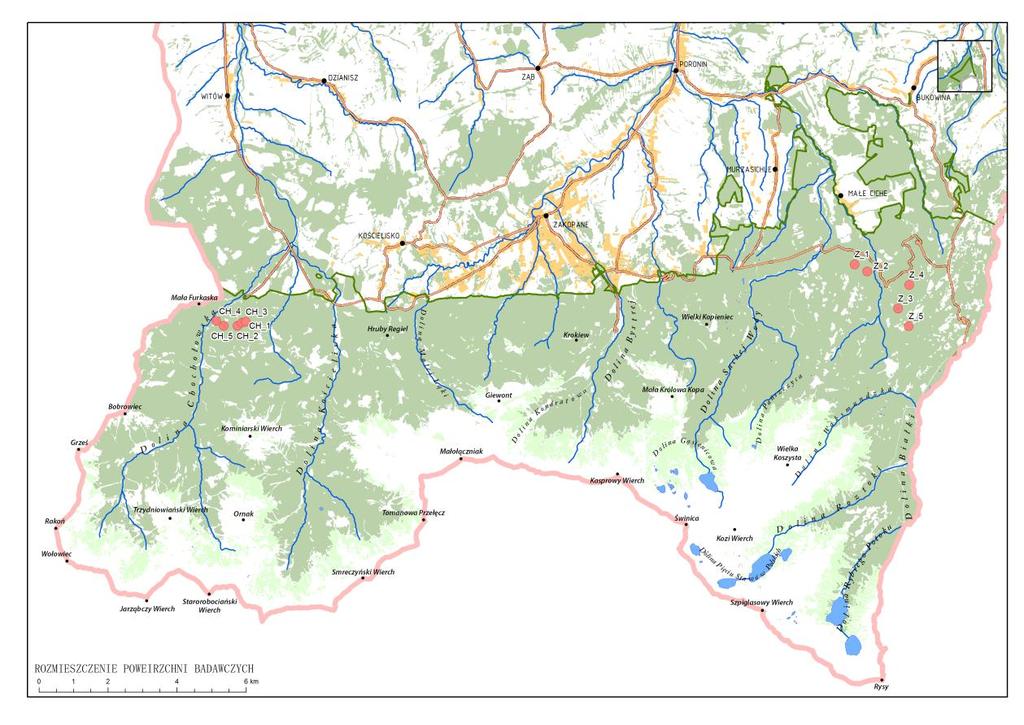 W obrębie każdej lokalizacji wyznaczono 40 (na siatce kwadratu o bokach 20 x 20 m) powierzchni kołowych, na których dokonywano pomiarów.