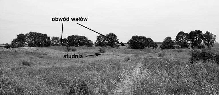 Opis stanowiska oraz problematyka obwałowań i chronologii Grodzisko na łąkach wzniesiono na dogodnym strategicznie miejscu, znajdującym się na jednej z kilku okolicznych gipsowych wysepek powierzchni