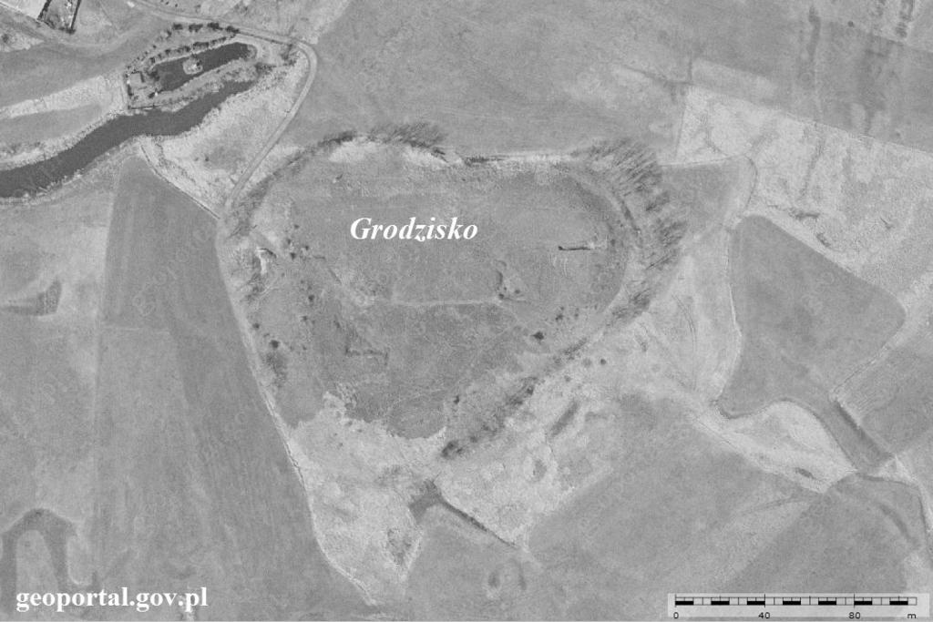 Ryc. 1. Wiślica grodzisko. Plan stanowiska na łąkach (za geoportal.gov.pl, oprac. T. Sajecki). Badania z lat 1949-1960 koncentrowały się m.in.