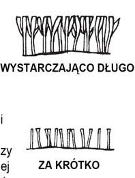 ZATRZYMANIE SILNIKA 1. Puść rączkę sterowania ostrzami [1], aby zatrzymać silnik.