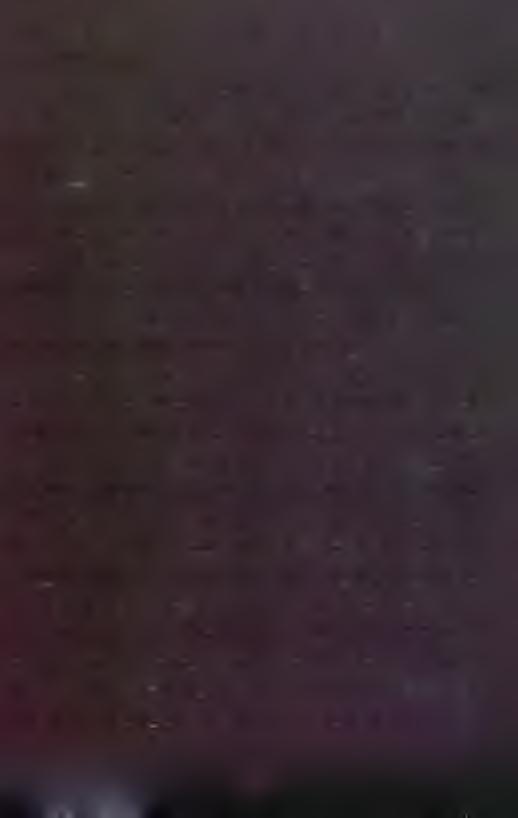 zgodne z teorią o segmentalnych skurczach powodujących lokalny wzrost ciśnienia wewnątrzj elito wego13.