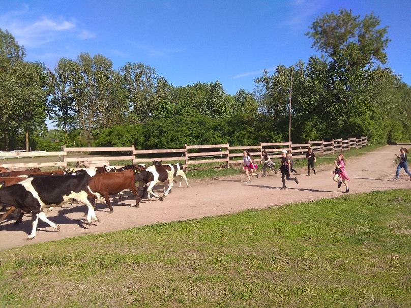 Ciekawostką jest, że na terenie rezerwatu wszystkie zwierzęta mają swoje imiona.