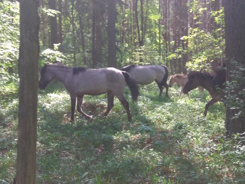 W piątek odbyliśmy wędrówkę do rezerwatu