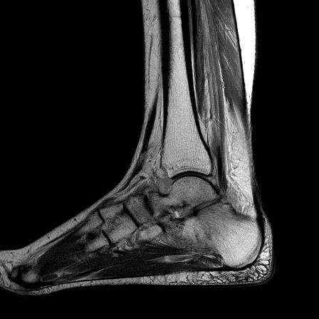 al. RadioGraphics