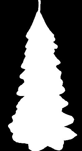 ŚWIECA
