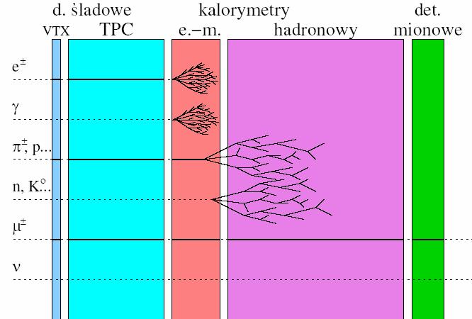 Detektory warstwowe