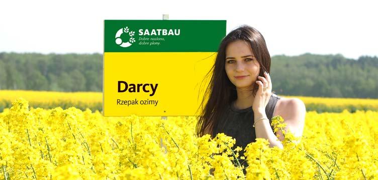 Odmiany rzepaku / sezon 2018 STRONA 13 DARCY Nieugięty do zbioru! Odmiana populacyjna rzepaku ozimego DARCY stanowi kombinację wysokiego potencjału plonowania z dobrym profilem zdrowotności.