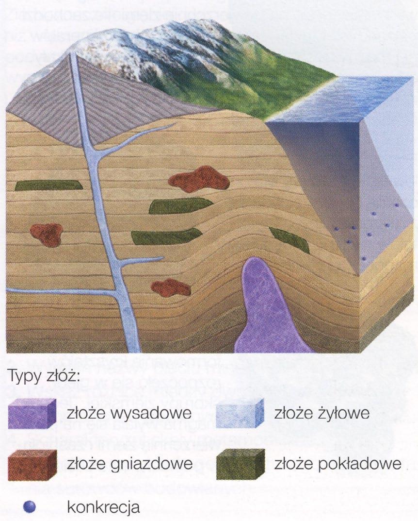Formy występowania złóż związane są w warunkami panującymi w czasie ich powstawania oraz wydarzeniami geologicznymi mającymi miejsce później (deponowaniem nadległych skał, deformowaniem pod wpływem