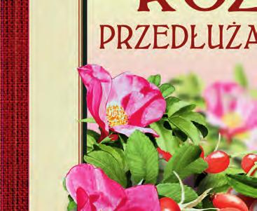 Autor znawca ziół i propagator zdrowego