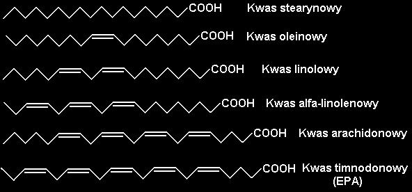 Triacyloglicerole podlegają hydrolizie: 2. Kwasy tłuszczowe: Rycina 2.