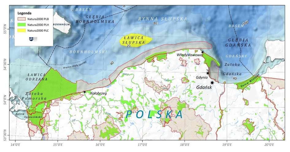 WSTĘP Ptaki morskie, ryby i rybacy koncentrują się w tych samych, dostatnich w pokarm regionach morza.