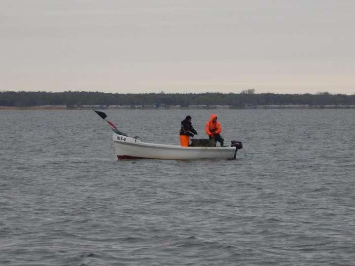 Rejs 2: data - 05.05.2015 r., jednostka obserwowana łódź rybacka z Mechelinek, narzędzie połowowe mance belonowe, godzina rozpoczęcia połowu 04:50, stan morza 0. Liczba przyłowionych ptaków 0.