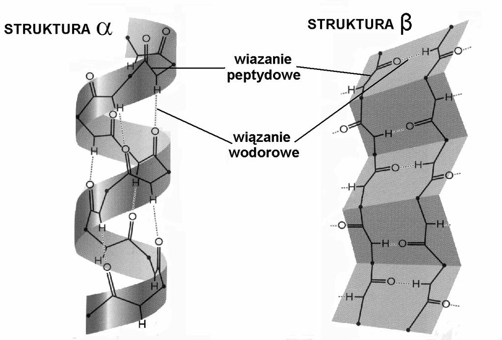 4 Okręgowa Komisja Egzaminacyjna w Poznaniu Zadanie 6.