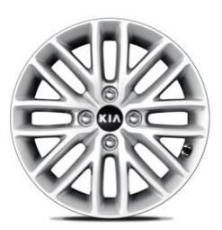 Silver (4SS) Signal Red (EG) Platinum
