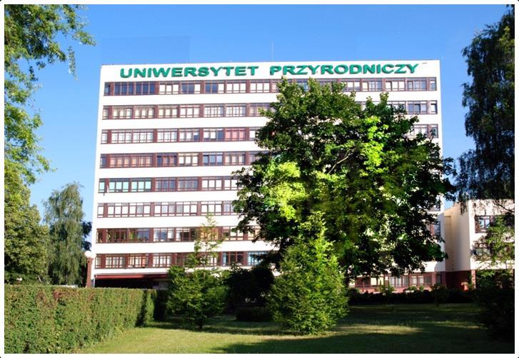 Siedziba władz Uczelni i Wydziału Ekonomiczno-Społecznego Collegium Maximum Ul.