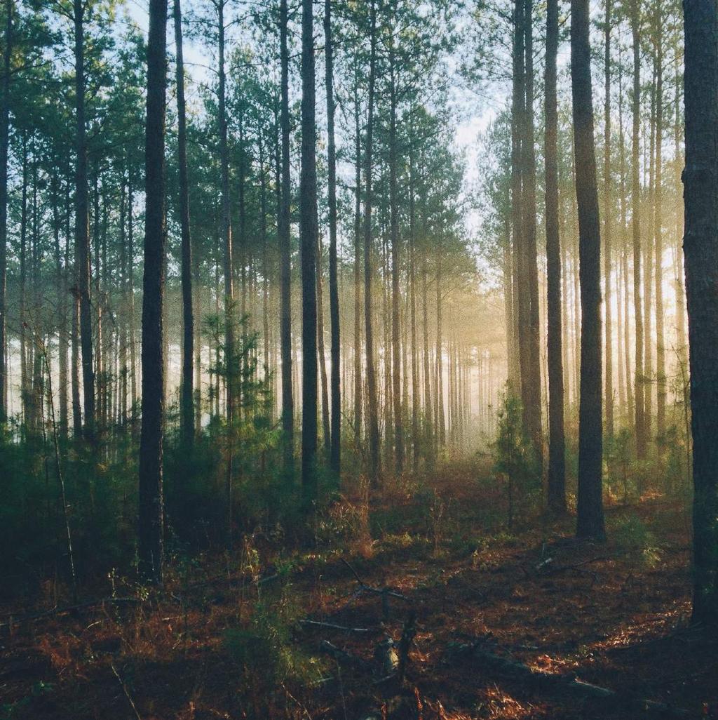 OFERTA KORPORACYJNA Luksusowy obiekt, w którym biznes doskonale komponuje się z naturą, tworząc spójną całość Luksusowy Hotel Las Woda****, to centrum biznesowe, w którym na powierzchni 1300 m2