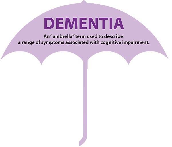 Otępienie w chorobie Alzheimera Otępienie naczyniowe Otępienie mieszane Otępienie z ciałami Lewy ego Otępienie w chorobie Parkinsona Otępienie czołowo-skroniowe