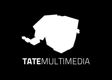 TECHNICAL DIRECTOR TATE MULTIMEDIA S.A WARSAW TECHNICAL DIRECTOR TATE MULTIMEDIA S.