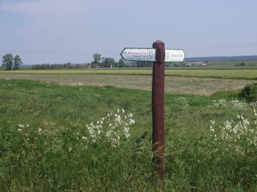 zalecenia i wnioski:: przy planowaniu odnawiania rozważyć możliwość żerdzi lub