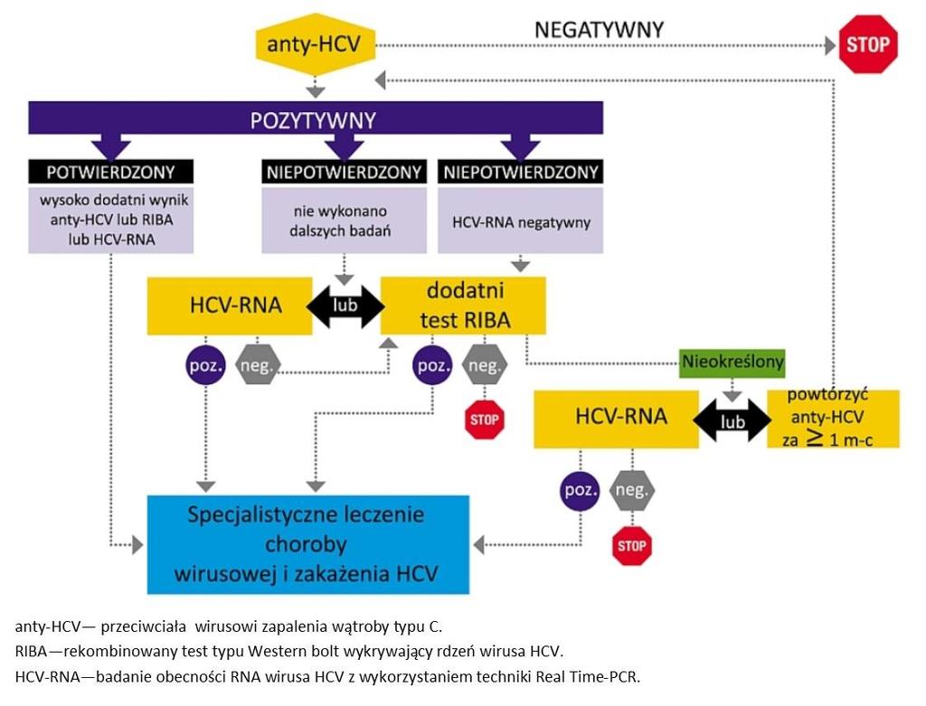 Rycina 7. Schemat diagnostyki osób podejrzanych o zakażenie HCV (źródło: opracowanie własne na podstawie http://www.cdc.gov/hepatitis/hcv/pdfs/hcv_flow.