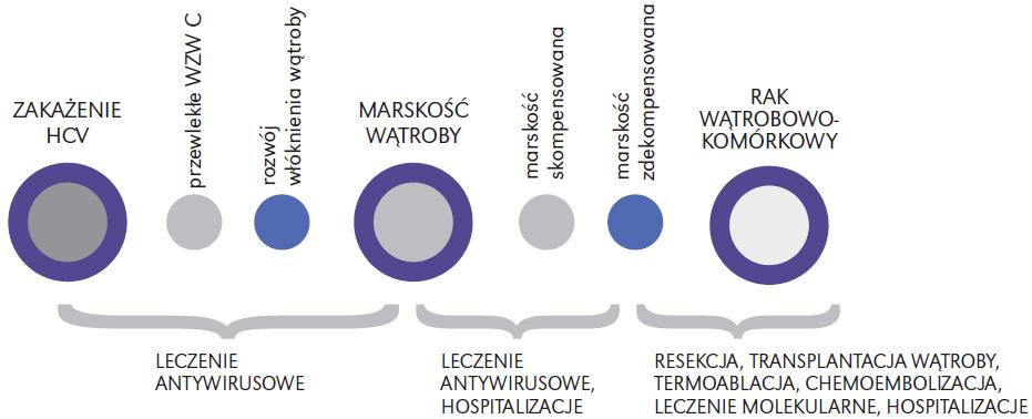 wirusowego zapalenia wątroby (A, B, C, inne) oraz zakażenia wywołanego przez wirusy zapalenia wątroby jest zgłaszany państwowemu powiatowemu inspektorowi sanitarnemu albo państwowemu granicznemu