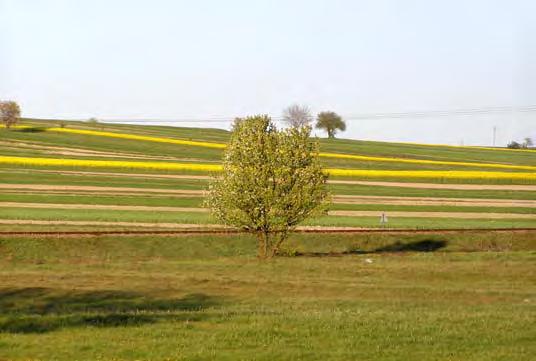 53 2 6 84 1 17 74 9 4.2. DZIAŁANIA PODEJMOWANE W ZAKRESIE OCHRONY POWIERZCHNI ZIEMI (Kozak Ewa) Rozwój cywilizacji powoduje, że coraz większe obszary gleb przeznaczane są na cele nie związane z produkcją roślin.