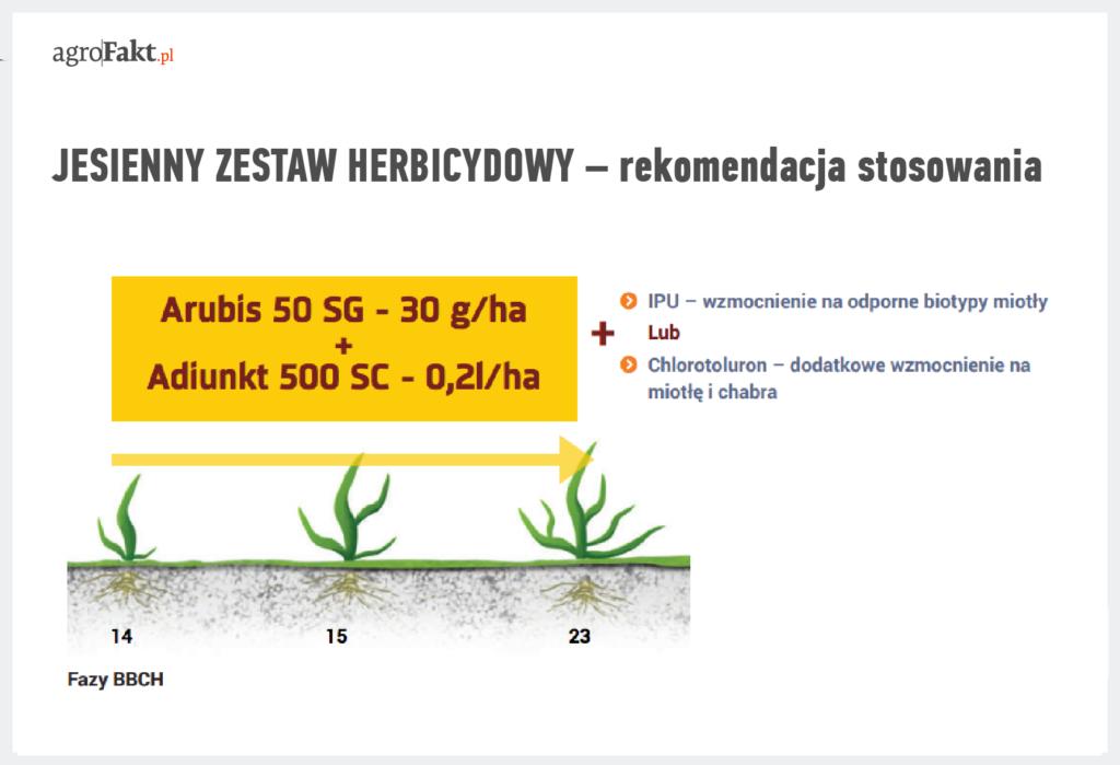 .pl https://www..pl grupy fenoksynikotynoanilidów. Pobierany jest głównie przez liście, ale także przez korzenie chwastów.