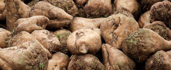 Dodatek adiuwantów do pestycydów Jak wskazuje łaciński źródłosłów (czasownik adiuvare oznacza pomagać, wspierać ), adiuwanty to substancje pomocnicze znajdujące się w środkach ochrony roślin i/lub