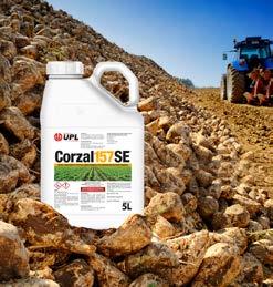 Corzal 157 SE substancja czynna: fenmedifam (157 g/l) Środek chwastobójczy w postaci zawiesinoemulsji do sporządzania roztworu wodnego, stosowany nalistnie, przeznaczony do powschodowego zwalczania