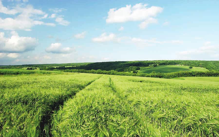 WSTĘP SZANOWNI PAŃSTWO Oddajemy do Waszej dyspozycji nowy katalog z ofertą produktów i rozwiązań dostępnych w firmie Adler Agro w 2018 roku.