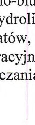 działkach nr 409 i 410 położonych w m. Koczergi, gm. Parczew, zrealizowanej przez DGM Sp. z o.o., Wierzbówka 38, 21-200 Parczew, - utrzymuję zaskarżoną decyzję w mocy.