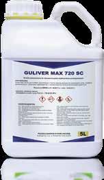 Guliver 500 SC Gwarant 500 SC Guliver 500 SC jest środkiem grzybobójczym, koncentratem w postaci stężonej zawiesiny do rozcieńczania wodą o działaniu kontaktowym do stosowania zapobiegawczego lub w
