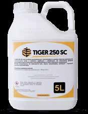Tiger 250 SC Tazer 250 SC Tiger 250 SC jest środkiem grzybobójczym, koncentratem w postaci stężonej zawiesiny do rozcieńczania wodą o działaniu wgłębnym i układowym, do stosowania głównie