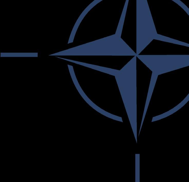 kompetencje instytucji działających na rzecz stabilizacji pokoju, po orientację w działaniach organizacji polityczno-wojskowych jak NATO.