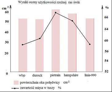 Zadanie 28. Jakiej rasy knura należy wybrać do pokrycia loszki polskiej białej zwisłouchej w celu podniesienia mięsności tuczników mieszańców międzyrasowych?