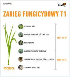 https://www. Choroby podsuszkowe Preparat Yamato 303SE zwalcza najgroźniejsze choroby w pszenicy ozimej i jarej. Można go również stosować w późniejszym okresie tj.