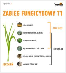 https://www. źdźbła zbóż oraz fuzaryjna zgorzel podstawy źdźbła i korzeni), a także przed najważniejszymi chorobami liści, które mogą wystąpić w tym okresie w zbożach.