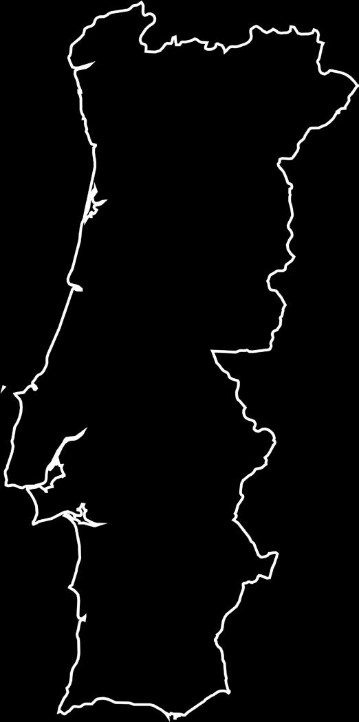 Ostatnie lata to prawdziwy boom - renesans klasycznych regionów ze wspaniałymi winami najwyższej klasy, jak i powstawanie nowych regionów skutecznie rywalizujących z wyrobami z Chile czy Australii.