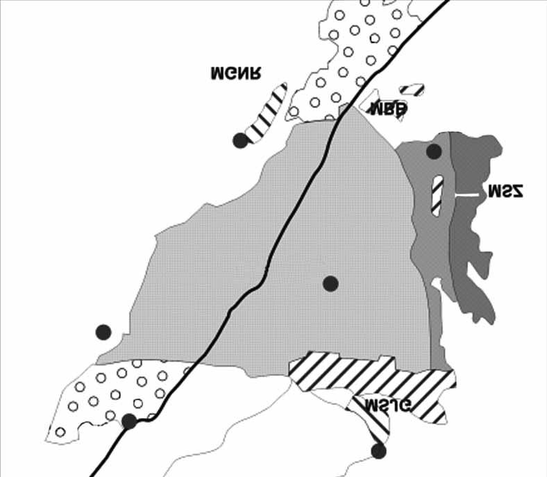 74 Katarzyna Sad³owska Fig. 1. Schematyczna mapa geologiczna przedstawiaj¹ca rozmieszczenie masywów ska³ maficznych i ultramaficznych w otoczeniu bloku Gór Sowich (wg Mazura i in.